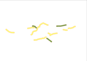 DNA/RNA Molecular Structure Diagram