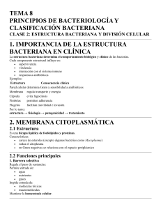 Estructura Bacteriana y Divisi&oacute;n Celular - Bacteriolog&iacute;a