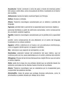 Glosario de T&eacute;rminos M&eacute;dicos y Anat&oacute;micos