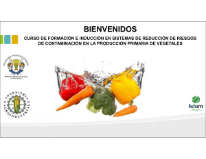 Curso de Reducci&oacute;n de Riesgos en Producci&oacute;n Vegetal
