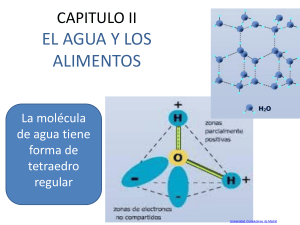 Cap&iacute;tulo II: El Agua y los Alimentos - Propiedades y Actividad Acuosa