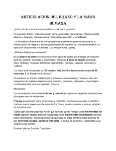 Articulaci&oacute;n del brazo y la mano humana