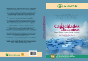 Las Capacidades Din&aacute;micas: Desarrollos te&oacute;ricos y evidencias emp&iacute;ricas