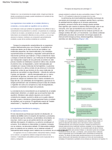 Principios de bioqu&iacute;mica de Lehninger: Conversi&oacute;n de energ&iacute;a celular