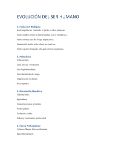Evoluci&oacute;n del Ser Humano: Resumen de la Evoluci&oacute;n Humana