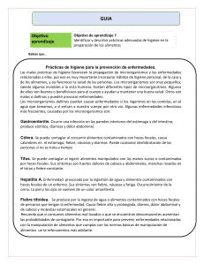 Gu&iacute;a de Higiene en Alimentos: Pr&aacute;cticas Preventivas