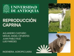Reproducci&oacute;n Caprina - Universidad de Antioquia