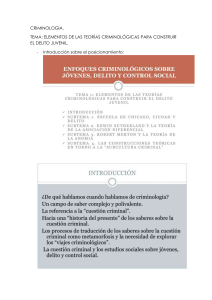 Elementos de Teor&iacute;as Criminol&oacute;gicas para el Delito Juvenil