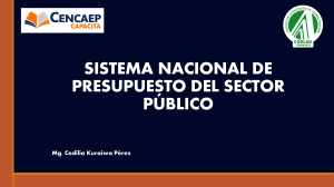 Sistema Nacional de Presupuesto del Sector P&uacute;blico - Per&uacute;