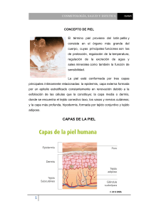 Cosmetolog&iacute;a, Salud y Est&eacute;tica: Concepto de Piel