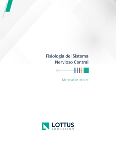 Fisiolog&iacute;a del Sistema Nervioso Central - Material de Lectura