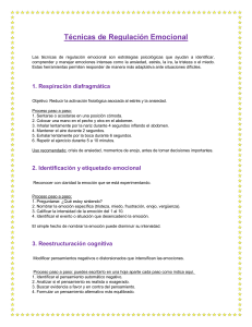 T&eacute;cnicas de Regulaci&oacute;n Emocional: Gu&iacute;a Pr&aacute;ctica
