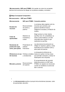 Mapa Conceptual: Microeconom&iacute;a y NIIF para PYMES