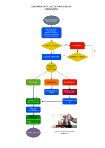 Diagrama de Flujo de Proceso de Liberaci&oacute;n