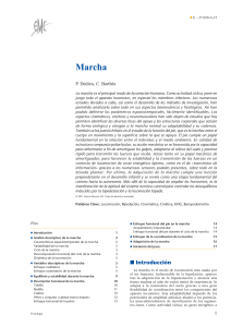 Marcha: An&aacute;lisis biomec&aacute;nico y fisiol&oacute;gico de la locomoci&oacute;n humana