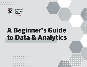 Beginner's Guide to Data & Analytics