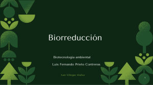 Biorreducci&oacute;n: Proceso Biol&oacute;gico en Biotecnolog&iacute;a Ambiental