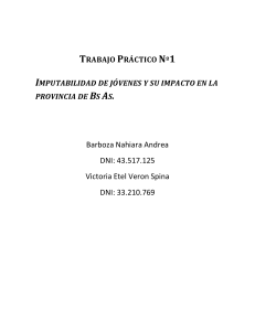 An&aacute;lisis de la Imputabilidad Juvenil en Buenos Aires
