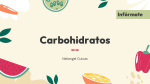 Carbohidratos: Informaci&oacute;n y Tipos