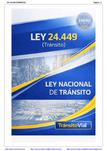 LEY 24.449 Tr&aacute;nsito: Ley Nacional de Tr&aacute;nsito Argentina