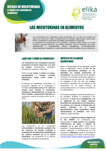 Riesgo de micotoxinas en alimentos: gu&iacute;a completa