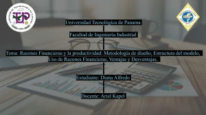 Razones Financieras y Productividad: An&aacute;lisis y Mejora