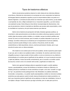 Tipos de trastornos af&aacute;sicos: S&iacute;ndromes cl&aacute;sicos y enfoque cognitivo
