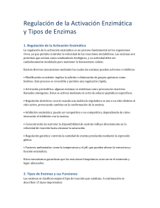 Regulaci&oacute;n de Activaci&oacute;n Enzim&aacute;tica y Tipos de Enzimas