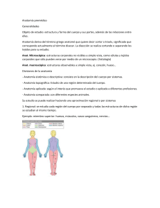 Anatom&iacute;a Prem&eacute;dico: Generalidades y Terminolog&iacute;a