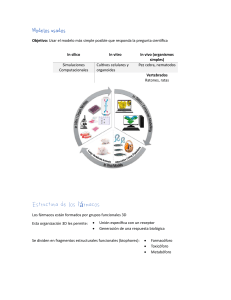 Modelos en Farmacolog&iacute;a: Dise&ntilde;o y Desarrollo de F&aacute;rmacos
