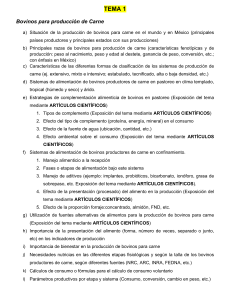 Gu&iacute;a de Producci&oacute;n de Carne Bovina: Sistemas y Nutrici&oacute;n