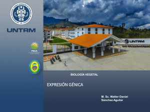 Biolog&iacute;a Vegetal: Expresi&oacute;n G&eacute;nica