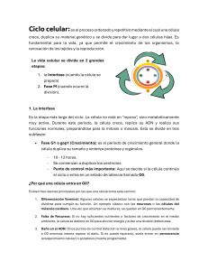 Ciclo Celular: Mitosis y Meiosis