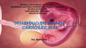 Desarrollo del Aparato Cardiovascular - Embriolog&iacute;a M&eacute;dica