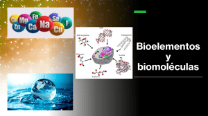 Bioelementos y biomol&eacute;culas: Componentes qu&iacute;micos de la c&eacute;lula