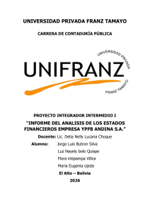 Informe de An&aacute;lisis Financiero YPFB Andina S.A.