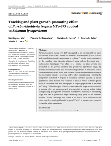 Tracking Paraburkholderia tropica MTo-293 in Tomato Plants