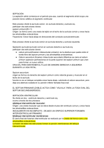 Septaci&oacute;n: Desarrollo Embriol&oacute;gico del Coraz&oacute;n
