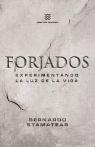 Forjados: Experimentando la luz de la vida - Espiritualidad Cristiana