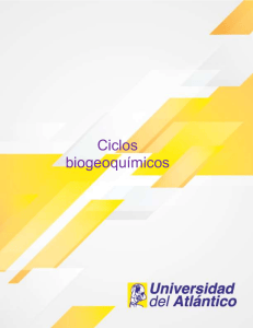 Ciclos Biogeoqu&iacute;micos: Ciclos del Agua, Carbono, Ox&iacute;geno, Nitr&oacute;geno, F&oacute;sforo y Azufre