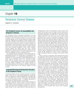Peripheral Corneal Disease: Chapter 19