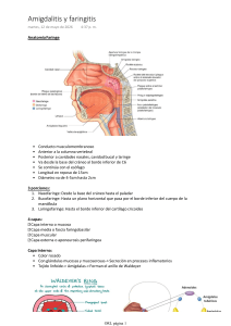 Tonsillitis and Pharyngitis: Anatomy and Treatment