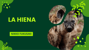 La Hiena: Caracter&iacute;sticas, Alimentaci&oacute;n y Habitat