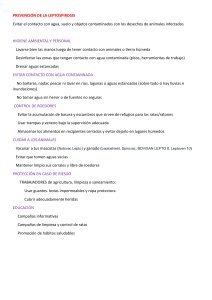Prevenci&oacute;n de la Leptospirosis: Gu&iacute;a de medidas de seguridad