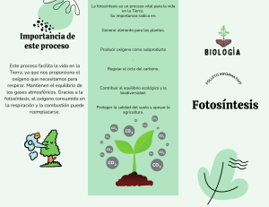 Fotos&iacute;ntesis: Proceso Vital para la Vida en la Tierra