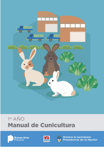 Manual de Cunicultura: Gu&iacute;a Completa para la Cr&iacute;a de Conejos