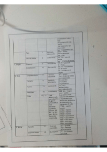 Genetics Worksheet: Eyebrows, Eyes, Mouth Traits