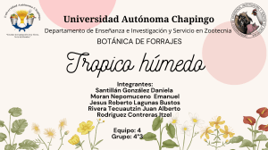 Bot&aacute;nica de Forrajes - Tr&oacute;pico H&uacute;medo