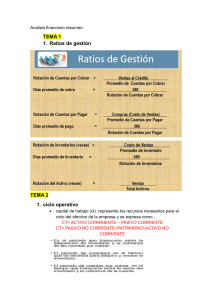Resumen de An&aacute;lisis Financiero