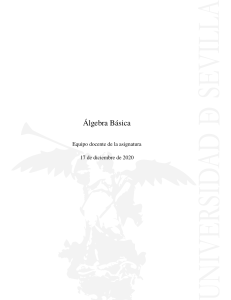 &Aacute;lgebra B&aacute;sica - Universidad de Sevilla